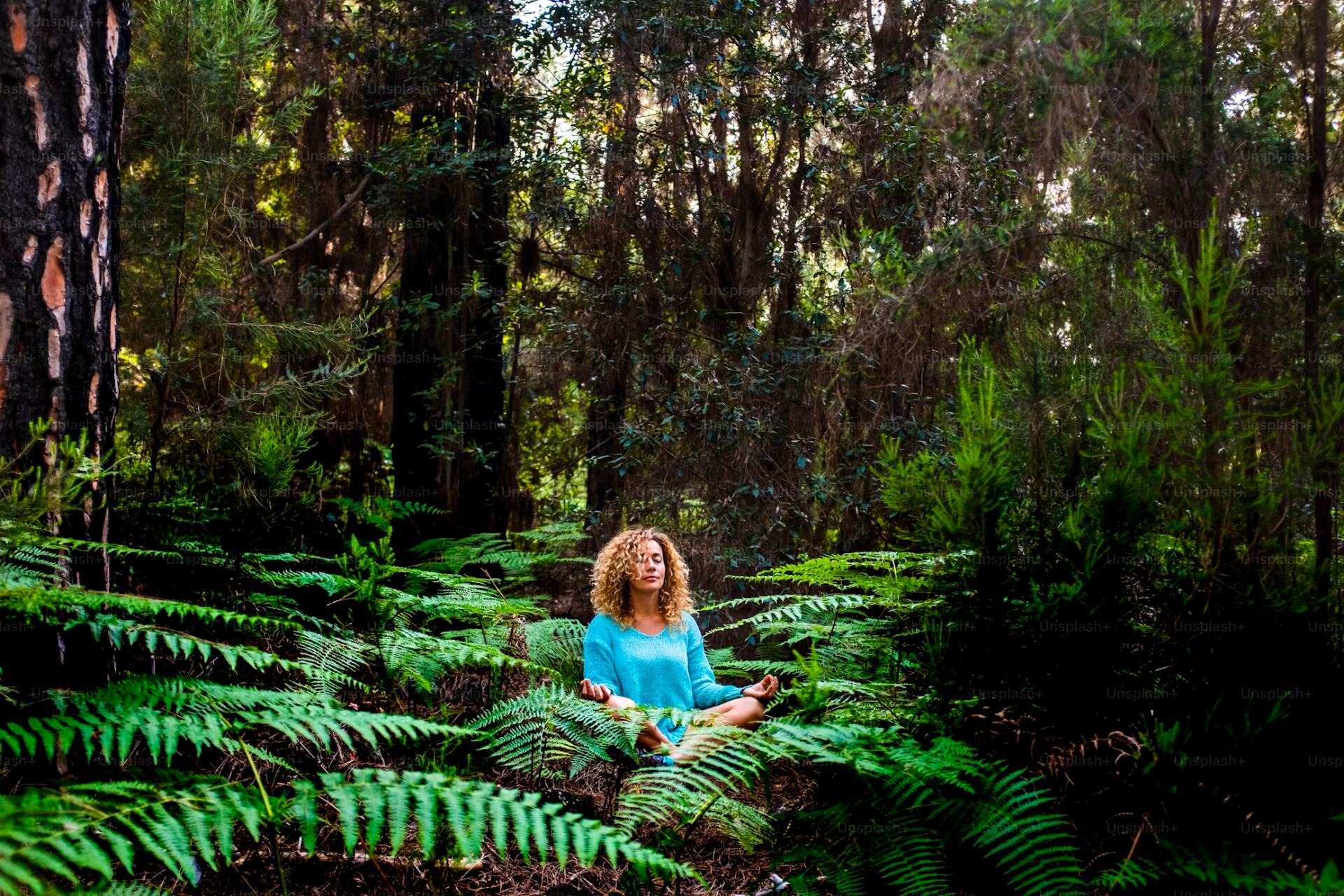 A person meditating cross-legged among ferns in a quiet forest